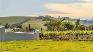 Vacant Land For Sale in Croydon Vineyard Estate, Somerset West, Western Cape for ZAR 2,000,000