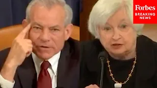 'Do You Wish We Would Just Not Talk About Things We Don't Understand?': Schweikert Questions Yellen