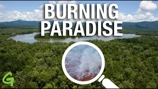 Palm Oil in Papua: A Burning Issue | A Greenpeace Investigation