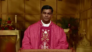 Catholic Mass Today | Daily TV Mass, Wednesday November 22, 2023