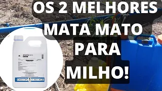 OS DOIS MELHORES MATA MATO PARA O MILHO!