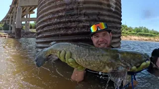 NOODLING for FATHEAD CATFISH! CHECKING SKETCHY HOLES!