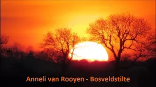 Anneli van Rooyen - Bosveldstilte