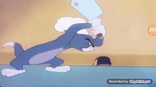 tom and jerry little quacker part 3