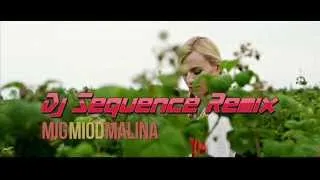 MIG - Miód Malina (Dj Sequence Remix) HIT WAKACJI 2013 ! [HD Download]