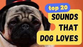 Top 20 Sounds that Dogs Love - Keep them tilting their heads for hours!