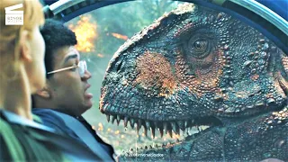 Jurassic World - Fallen Kingdom: RUN!