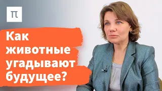 Локомоция и реакция на неопределенность — Варвара Дьяконова / ПостНаука