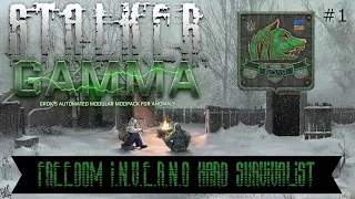 Hard & Survivalist Freedom Winter Playthrough | STALKER GAMMA INVERNO | Part 1 - Monolith Already!?