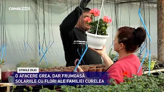 CANAL SUD / O AFACERE GREA, DAR FRUMOASĂ. SOLARIILE CU FLORI