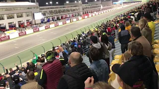 2019 Qatar MotoGP finish line. Live tribun