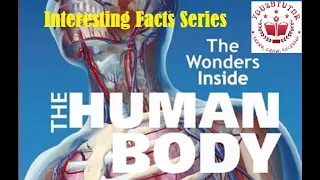 The Wonders of The Human Body -  Interesting Facts