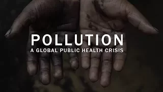 Pollution: a global public health crisis