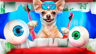 Pet Rescue in Hospital! Fantastic Pet Hacks, Funny Moments by Troom Zoo!