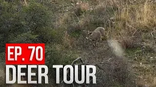 We Found a BIG BUCK!  Day 2 - Arizona Public Land Bowhunt - DEER TOUR E70