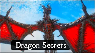 Skyrim: 5 Things They Never Told You About Dragons