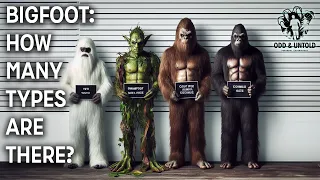 Bigfoot: How Many Types Are There?