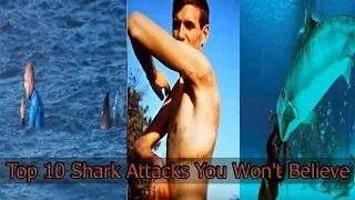 Top 10 Shark Attacks You Won't Believe | Top 10 Shocking And Unbelievable Shark Attacks