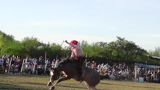 Montas especiales y Broche fiesta del ternero 2023 #jaripeo #rodeo#Cowboy  # horse videos