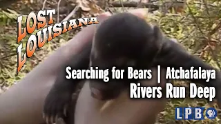 Searching for Bears | Atchafalaya | Rivers Run Deep | Lost Louisiana (2000)