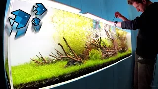 70 neue Tiere im XXL Aquarium! 😲