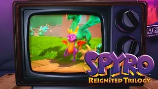 Spyro Reignited Trilogy - All Spyro 1 Cutscenes (Including the 80 Dragons)