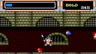 ADG Filler #43 - Wonder Boy in Monster World