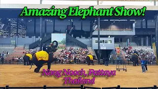 Amazing Elephant Show at Nong Nooch, Pattaya, Thailand | Thailand Attractions