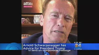Arnold Schwarzenegger Has Advice For Pres. Trump