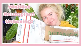 Wishlist House Plant Haul! Unboxing Rare Houseplants!