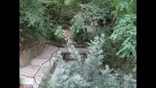 Никитский Ботанический Сад. "Парк приключений" / Nikitsky Botanical Garden. "Adventure Park"