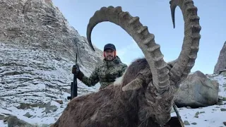 Ibex Jumps 😱😱 || Hussain Gojal Hunza  #ibex #hunting #wildlife #trophyhunter #gilgitbaltistan #viral