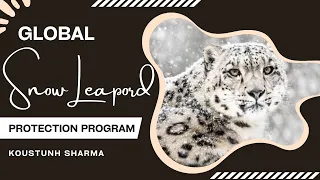 Global Snow Leopard Protection Program | NBTI
