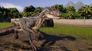 T-Rex vs Velociraptor Pack - NEW Pack hunting - Jurassic World Evolution 2
