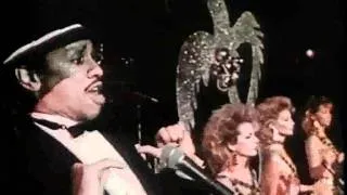 Kid Creole And The Coconuts - My Male Curiosity (with lyrics)