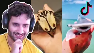 NymN Reacts to FUNNY and INTERESTING TikToks