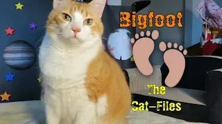 All About Bigfoot | The Cat-Files