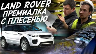 ВЫ УДИВИТЕСЬ ЧТО ПРОДАЮТ! Эксперт на день ! RANGE ROVER EVOQUE от 1.7 до 2.4 млн.