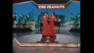 The Peanuts — Каникулы любви