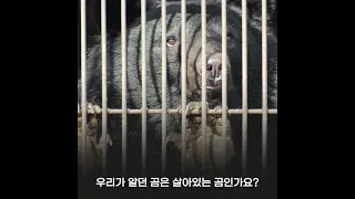 [곰 보금자리 프로젝트 X 동물권행동 카라] 우리가 알던 곰은 살아있는 곰인가요?