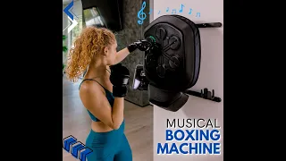 Wall-Mounted LED Light Music Boxing Machine for Kickboxing Boxing Karate Home Gym Training
