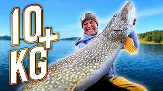 DREAM FISHING: Our BEST Pike Fishing from Boat with 10+ PIKE