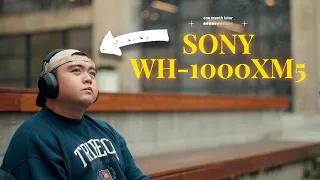 Sony WH-1000 XM5: After The Updates? Better than AirPods Max!