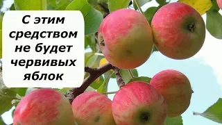 401. Приманка для плодожорки