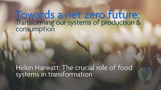 Towards a net zero future: The crucial role of food systems in transformation