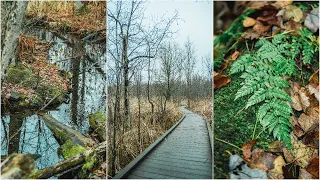 Rainy Nature POV Photography / Sony A6000 / Tamron 17-70mm F2.8