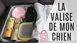 VACANCES AVEC UN CHIEN | La valise !