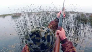 Охота на северных уток. Hunting for a duck. Много уток.