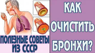 Как очистить бронхи от мокроты в домашних условиях. Очистка бронхов от слизи. Советы доктора из СССР