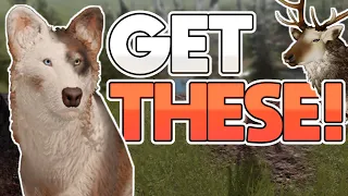 How To Get The Piebald in Cenozoic Survival